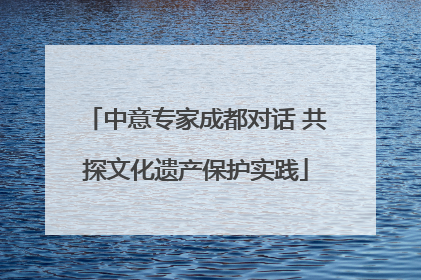 中意专家成都对话 共探文化遗产保护实践