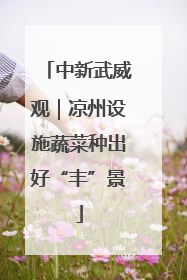 中新武威观｜凉州设施蔬菜种出好“丰”景