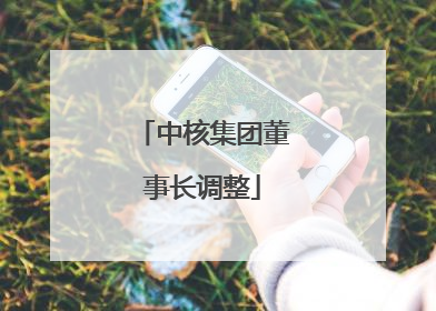 中核集团董事长调整