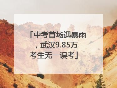 中考首场遇暴雨，武汉9.85万考生无一误考