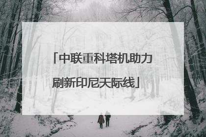 中联重科塔机助力刷新印尼天际线