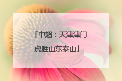 中超：天津津门虎胜山东泰山