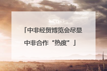 中非经贸博览会尽显中非合作“热度”