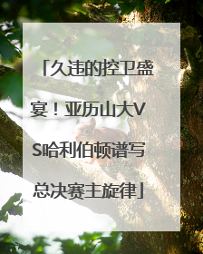 久违的控卫盛宴！亚历山大VS哈利伯顿谱写总决赛主旋律