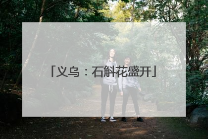 义乌：石斛花盛开