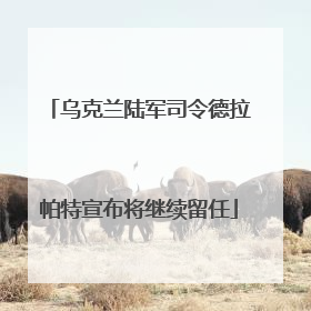 乌克兰陆军司令德拉帕特宣布将继续留任