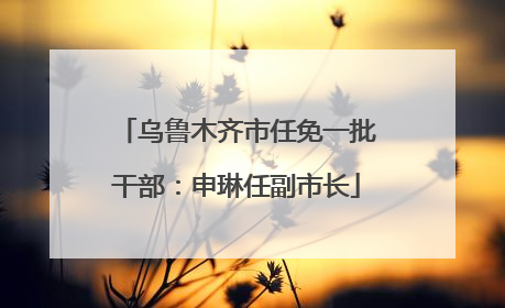 乌鲁木齐市任免一批干部：申琳任副市长
