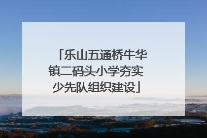 乐山五通桥牛华镇二码头小学夯实少先队组织建设