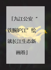 九江公安“铁腕护江”绘就长江生态新画卷