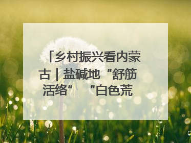 乡村振兴看内蒙古｜盐碱地“舒筋活络” “白色荒漠”长出吨粮田