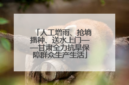 人工增雨、抢墒播种、送水上门——甘肃全力抗旱保障群众生产生活