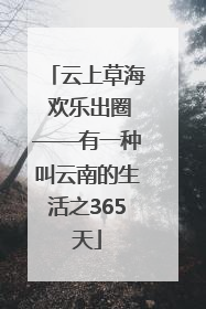 云上草海 欢乐出圈——有一种叫云南的生活之365天