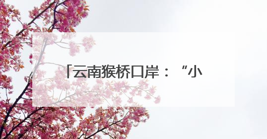 云南猴桥口岸：“小村庄”变“大市场”