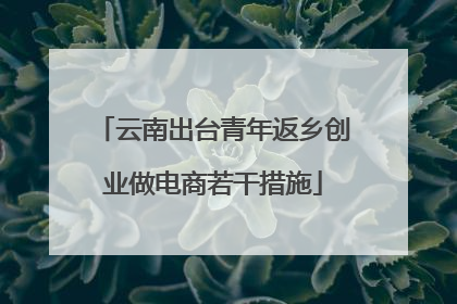 云南出台青年返乡创业做电商若干措施
