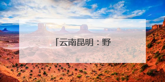 云南昆明：野生菌大量上市
