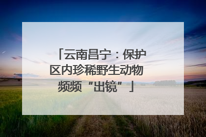 云南昌宁：保护区内珍稀野生动物频频“出镜”