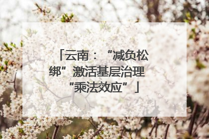 云南：“减负松绑”激活基层治理“乘法效应”