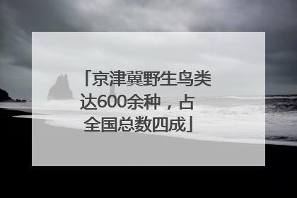 京津冀野生鸟类达600余种，占全国总数四成