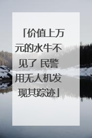 价值上万元的水牛不见了 民警用无人机发现其踪迹