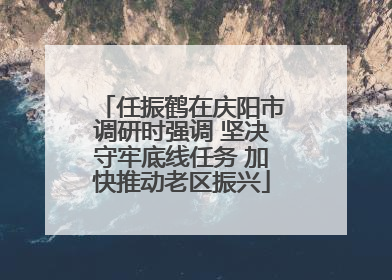 任振鹤在庆阳市调研时强调 坚决守牢底线任务 加快推动老区振兴