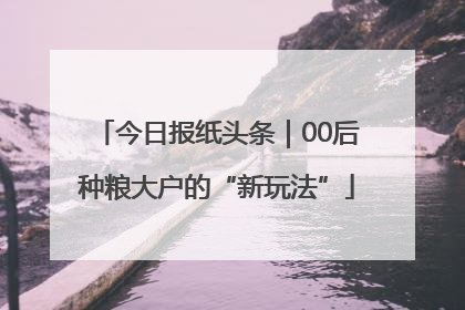 今日报纸头条｜00后种粮大户的“新玩法”