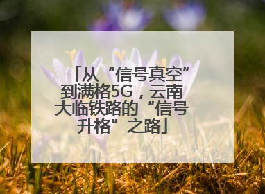 从“信号真空”到满格5G，云南大临铁路的“信号升格”之路