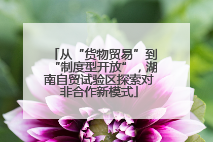 从“货物贸易”到“制度型开放”，湖南自贸试验区探索对非合作新模式