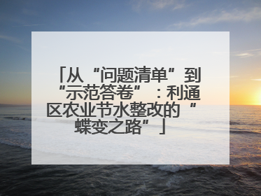 从“问题清单”到“示范答卷”：利通区农业节水整改的“蝶变之路”
