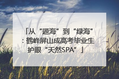 从“题海”到“绿海”：鹤峰屏山成高考毕业生护眼“天然SPA”