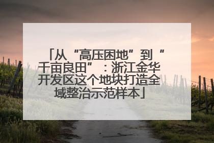 从“高压困地”到“千亩良田”：浙江金华开发区这个地块打造全域整治示范样本