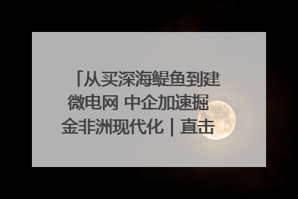 从买深海鳀鱼到建微电网 中企加速掘金非洲现代化｜直击中非经贸博览会