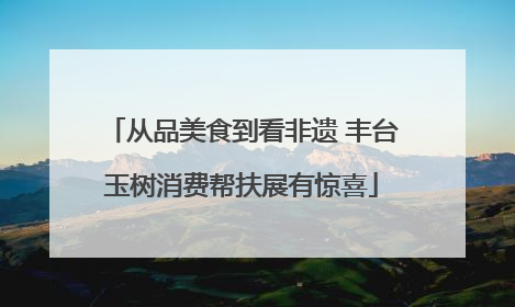 从品美食到看非遗 丰台玉树消费帮扶展有惊喜