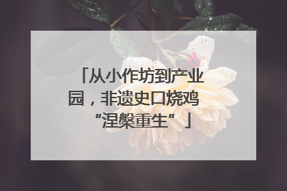 从小作坊到产业园，非遗史口烧鸡“涅槃重生”