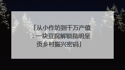 从小作坊到千万产值：一块豆腐解锁昆明呈贡乡村振兴密码
