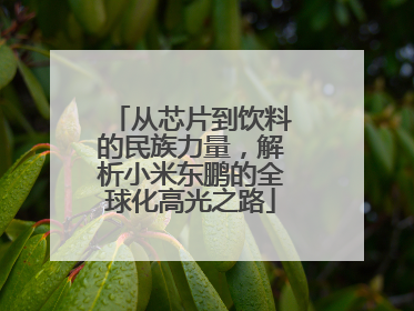从芯片到饮料的民族力量，解析小米东鹏的全球化高光之路