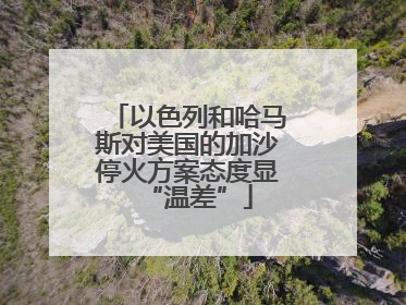 以色列和哈马斯对美国的加沙停火方案态度显“温差”