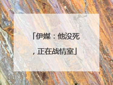 伊媒：他没死，正在战情室