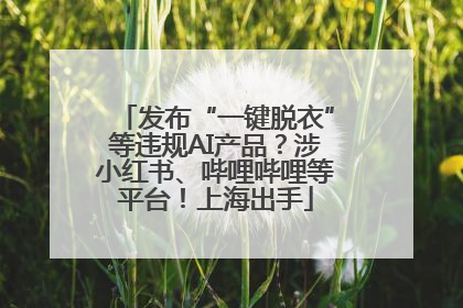 发布“一键脱衣”等违规AI产品？涉小红书、哔哩哔哩等平台！上海出手