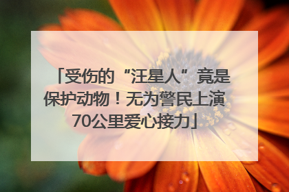 受伤的“汪星人”竟是保护动物！无为警民上演70公里爱心接力