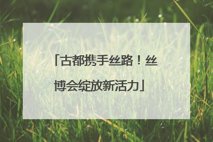 古都携手丝路！丝博会绽放新活力