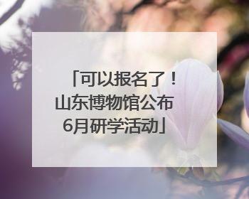 可以报名了！山东博物馆公布6月研学活动