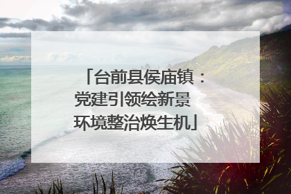 台前县侯庙镇：党建引领绘新景 环境整治焕生机