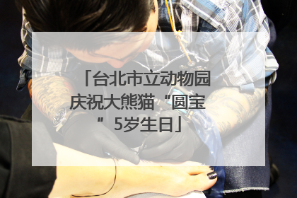 台北市立动物园庆祝大熊猫“圆宝”5岁生日