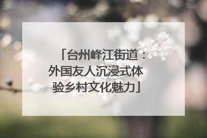 台州峰江街道：外国友人沉浸式体验乡村文化魅力