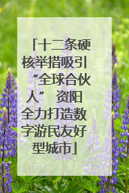 十二条硬核举措吸引“全球合伙人” 资阳全力打造数字游民友好型城市