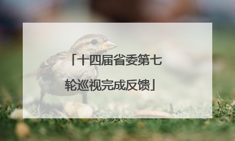 十四届省委第七轮巡视完成反馈