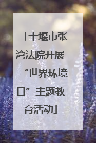 十堰市张湾法院开展“世界环境日”主题教育活动