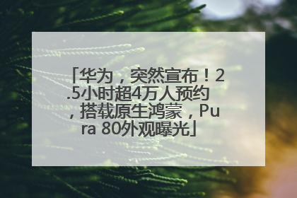华为，突然宣布！2.5小时超4万人预约，搭载原生鸿蒙，Pura 80外观曝光