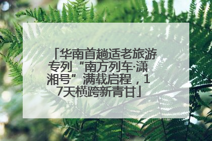 华南首趟适老旅游专列“南方列车·潇湘号”满载启程，17天横跨新青甘
