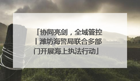 协同亮剑，全域管控丨潍坊海警局联合多部门开展海上执法行动